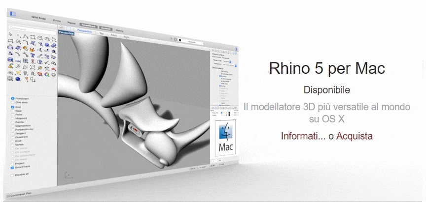 Rhinoceros